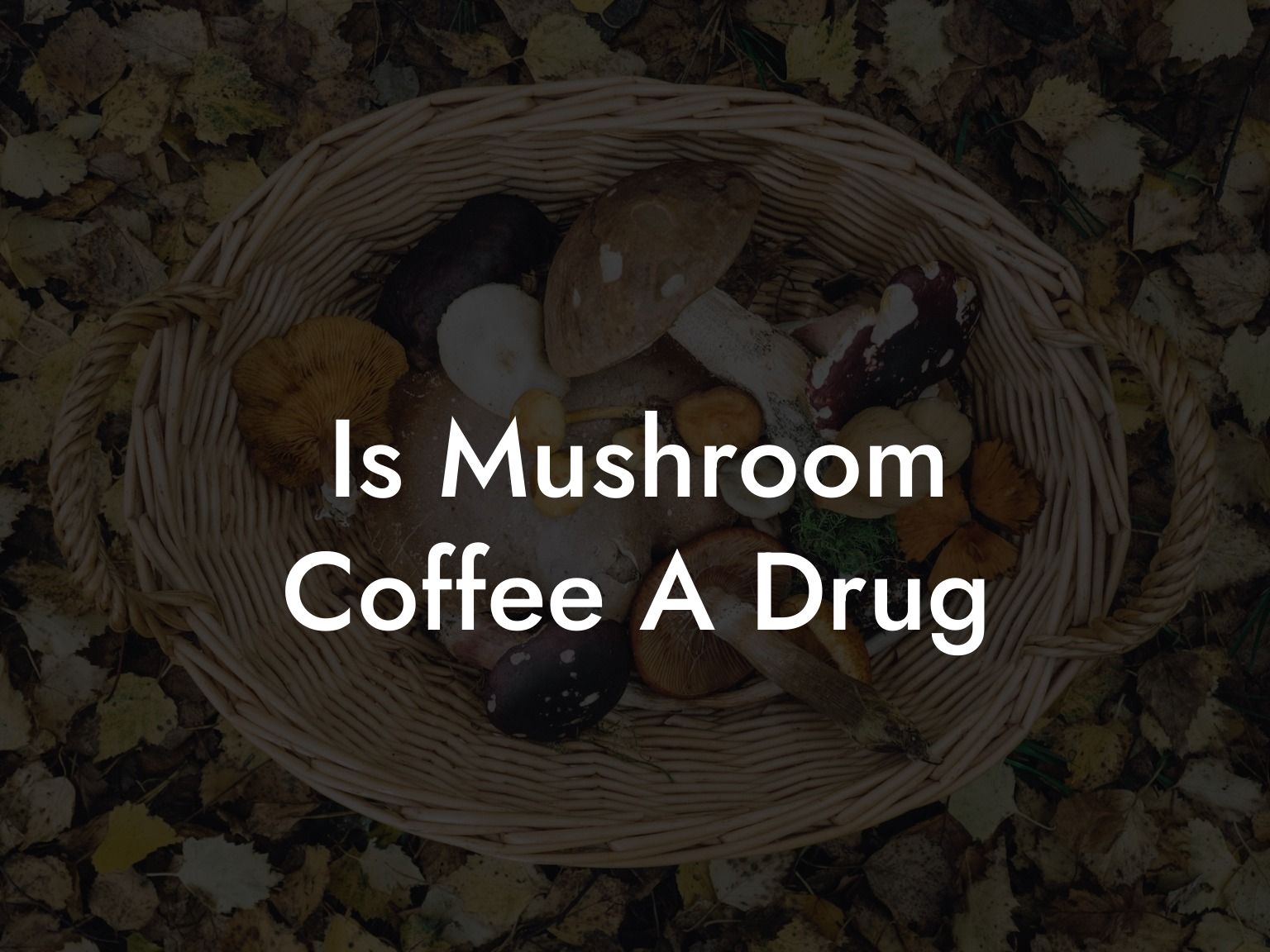 Is Mushroom Coffee A Drug