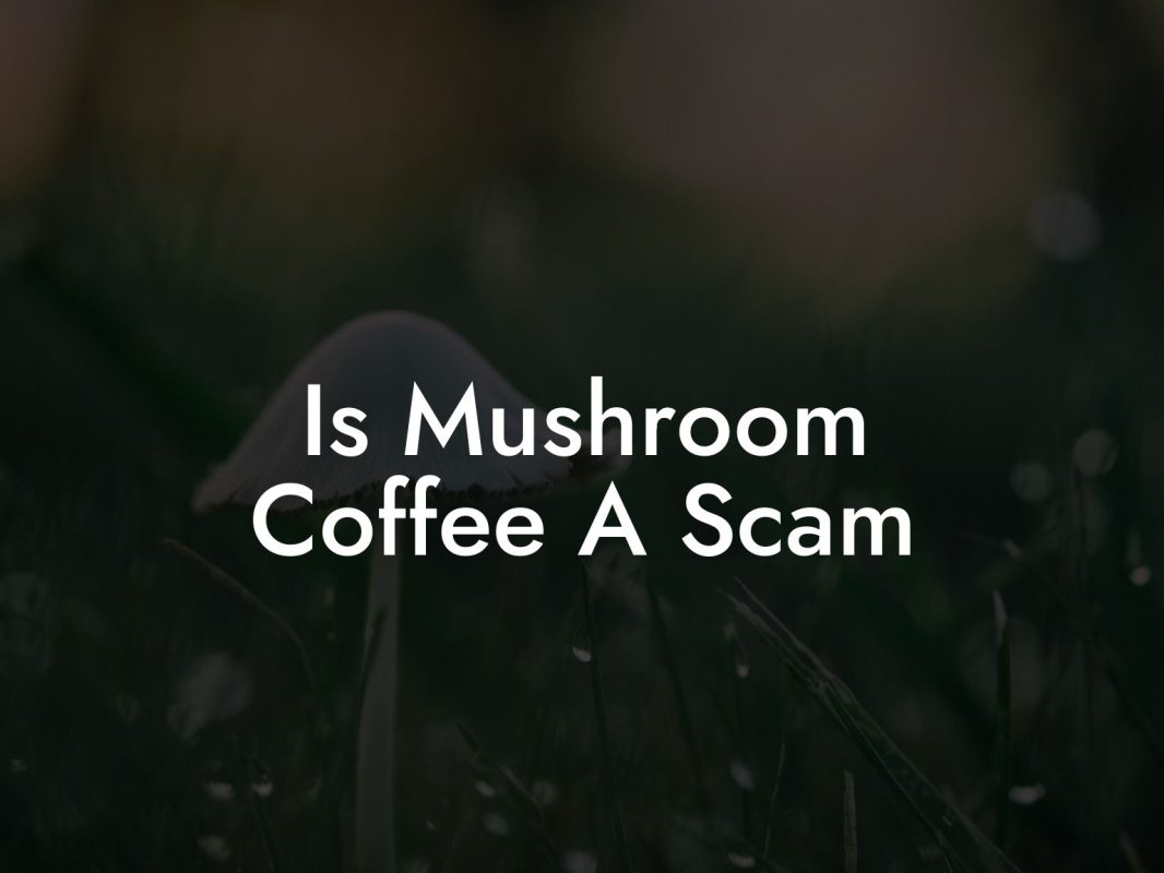 Is Mushroom Coffee A Scam