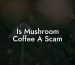 Is Mushroom Coffee A Scam