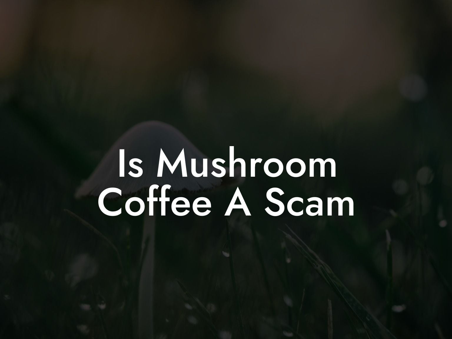 Is Mushroom Coffee A Scam