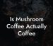 Is Mushroom Coffee Actually Coffee