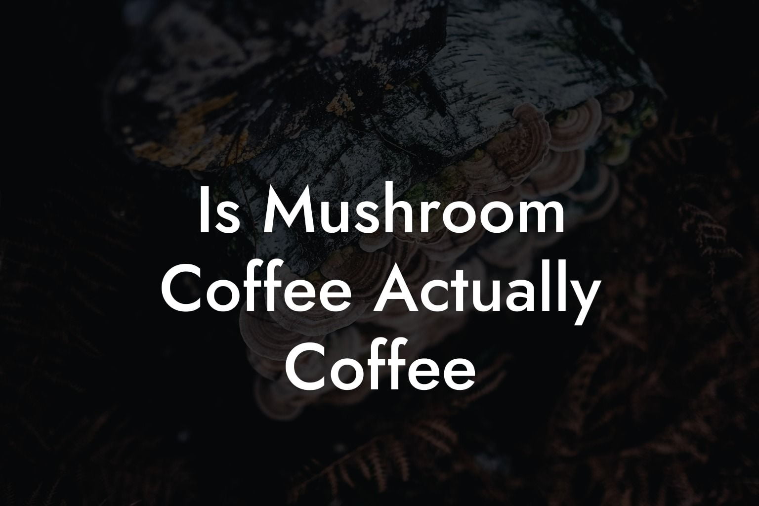 Is Mushroom Coffee Actually Coffee