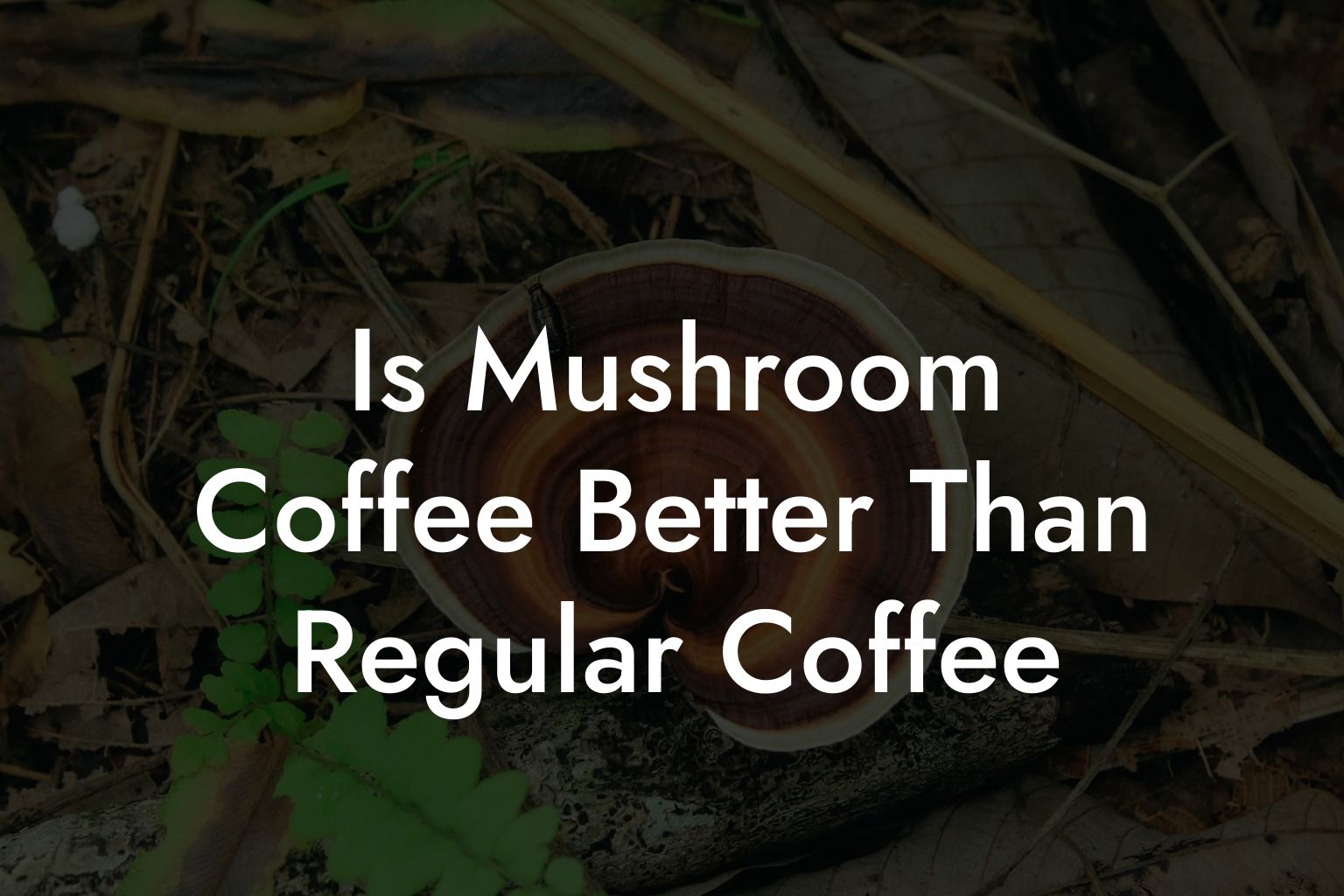 Is Mushroom Coffee Better Than Regular Coffee