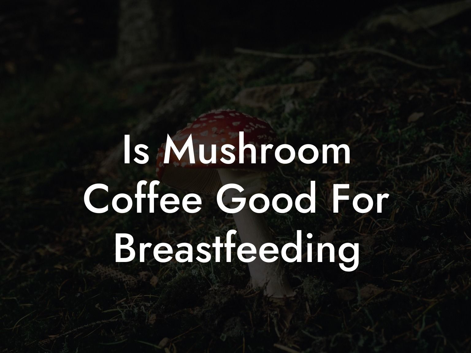 Is Mushroom Coffee Good For Breastfeeding