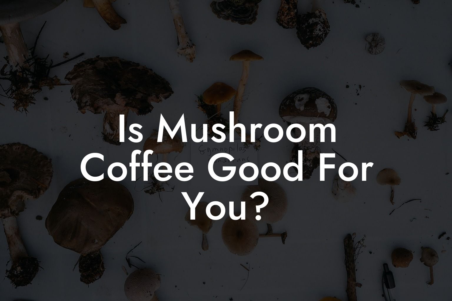 Is Mushroom Coffee Good For You