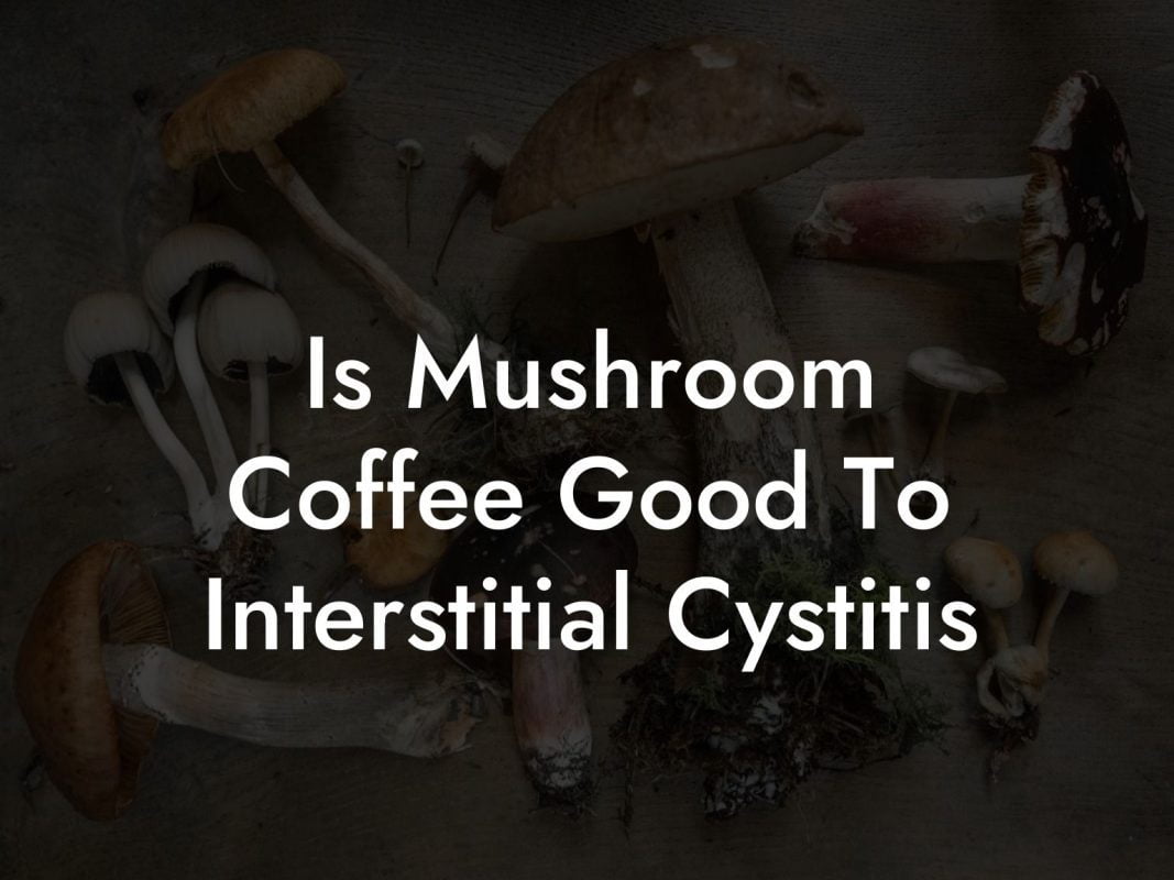 Is Mushroom Coffee Good To Interstitial Cystitis