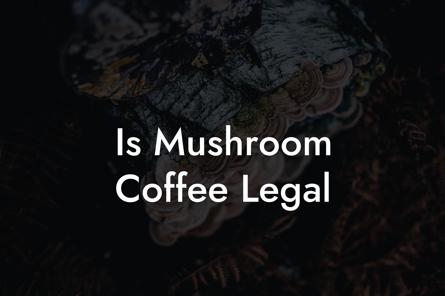 Is Mushroom Coffee Legal