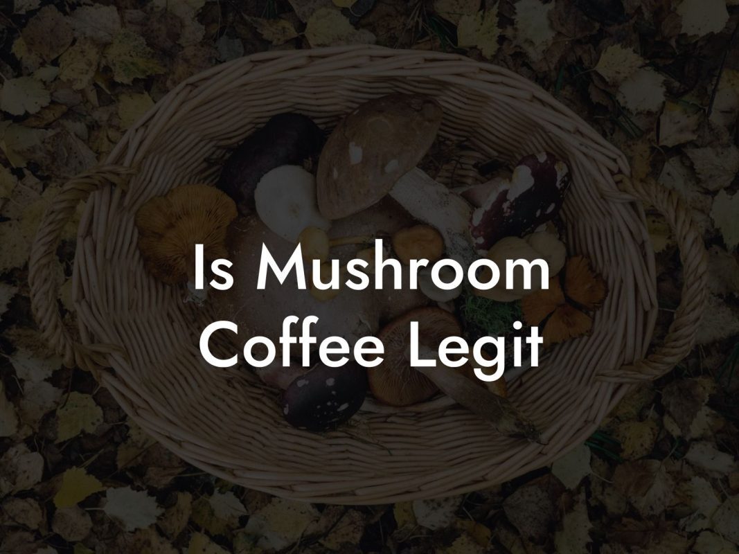 Is Mushroom Coffee Legit