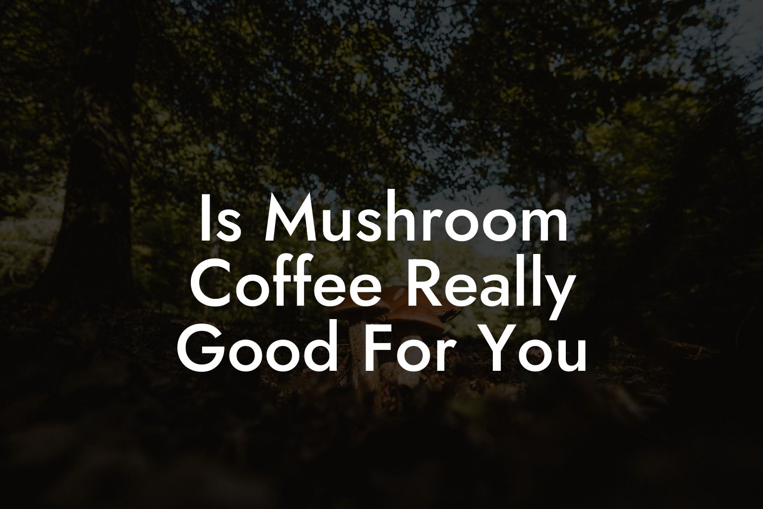 Is Mushroom Coffee Really Good For You