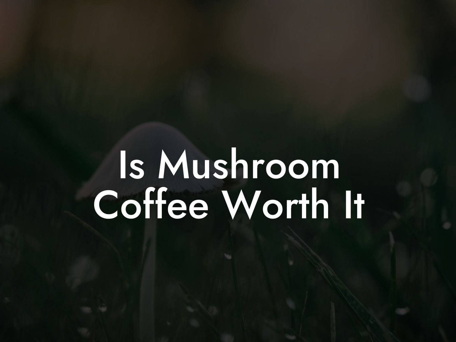 Is Mushroom Coffee Worth It