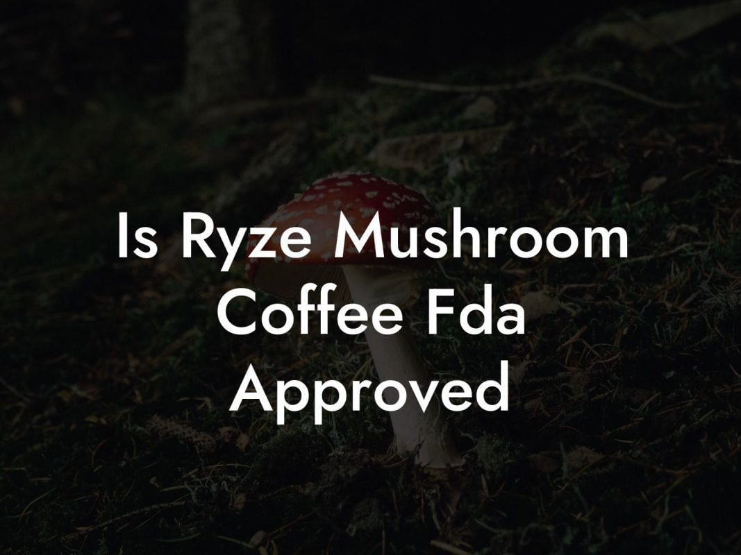 Is Ryze Mushroom Coffee Fda Approved