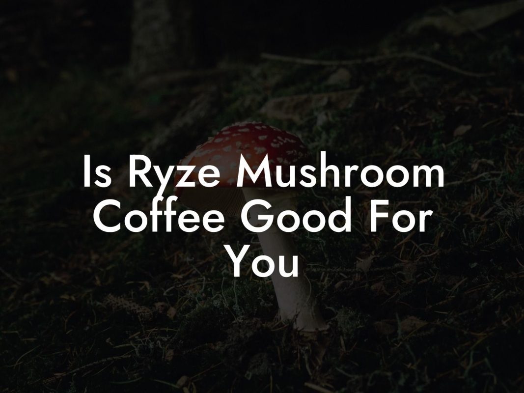 Is Ryze Mushroom Coffee Good For You