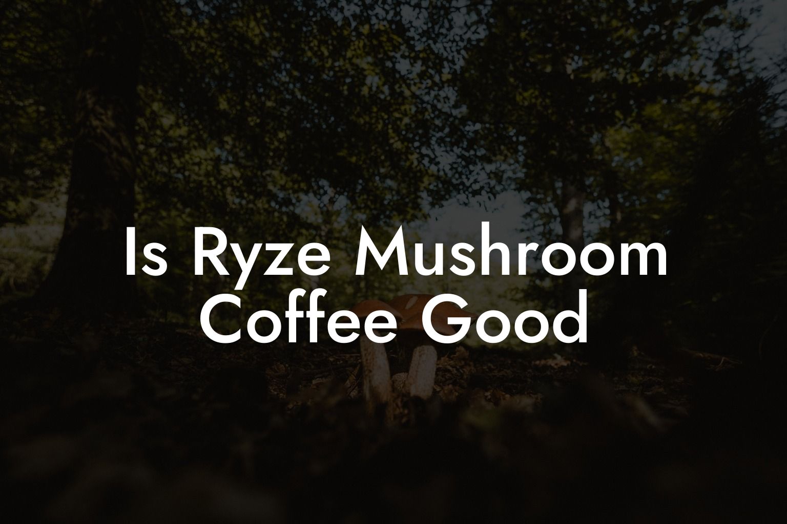 Is Ryze Mushroom Coffee Good