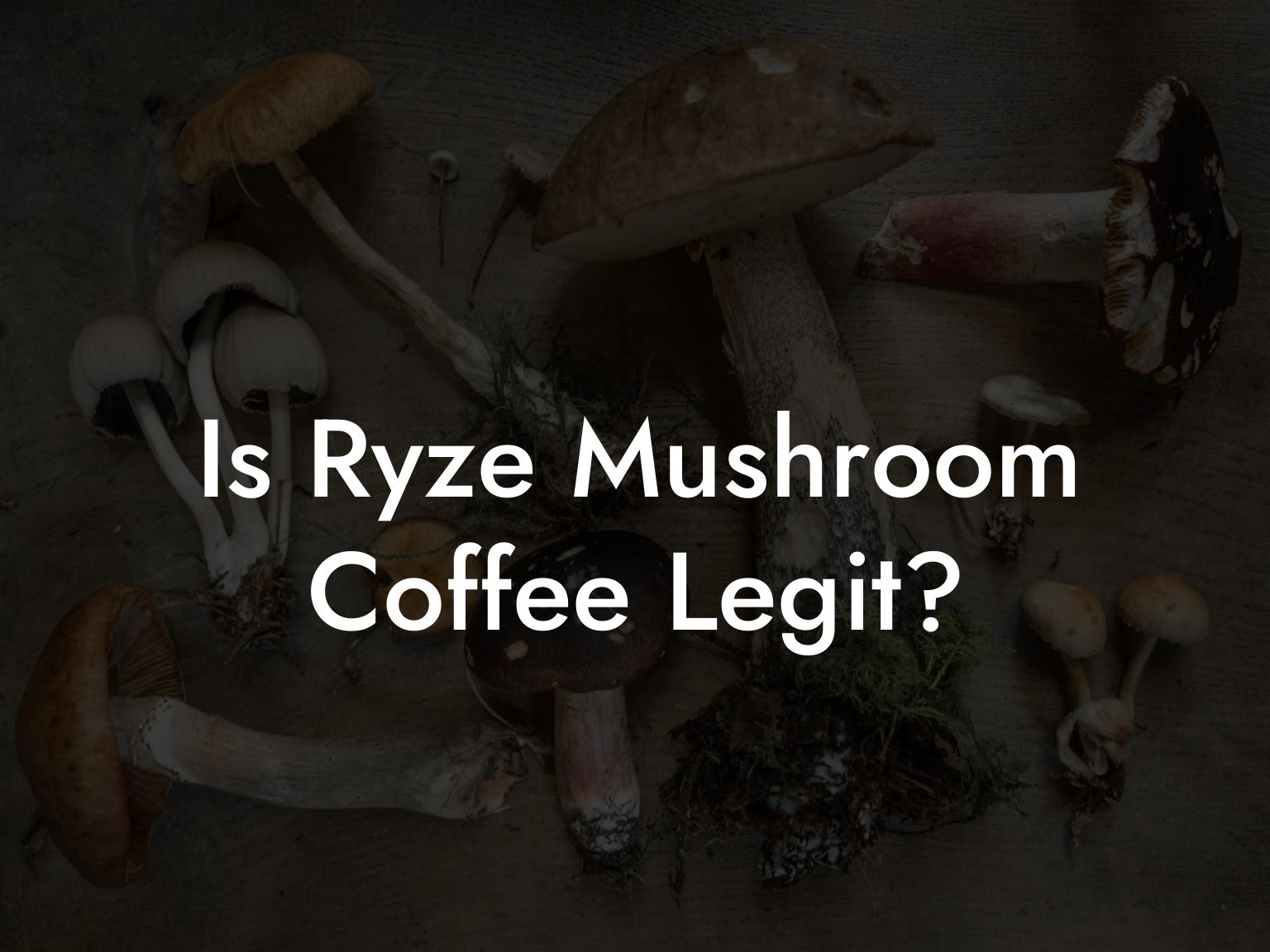 Is Ryze Mushroom Coffee Legit