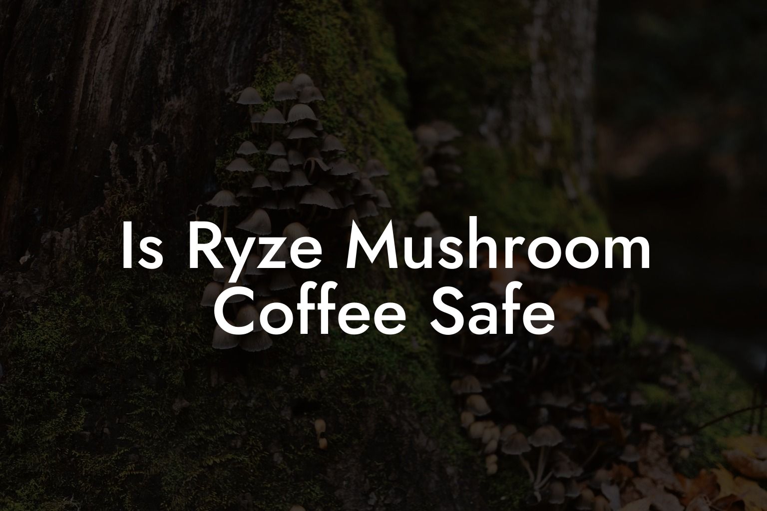 Is Ryze Mushroom Coffee Safe