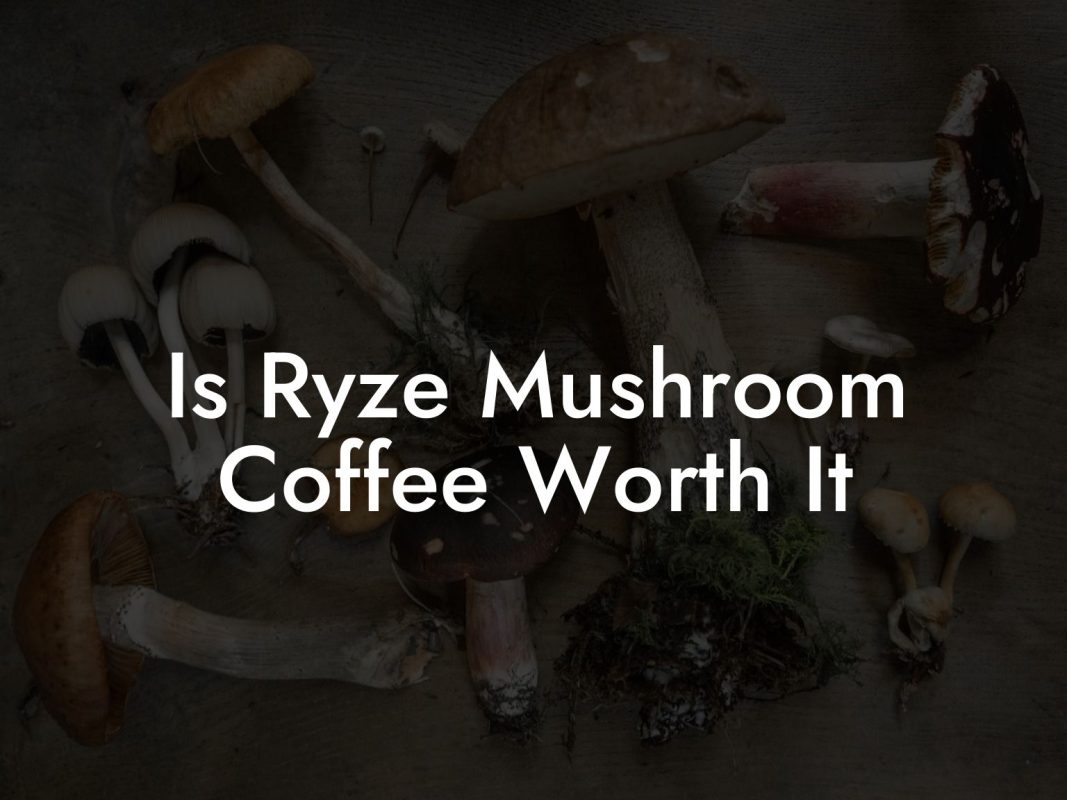 Is Ryze Mushroom Coffee Worth It