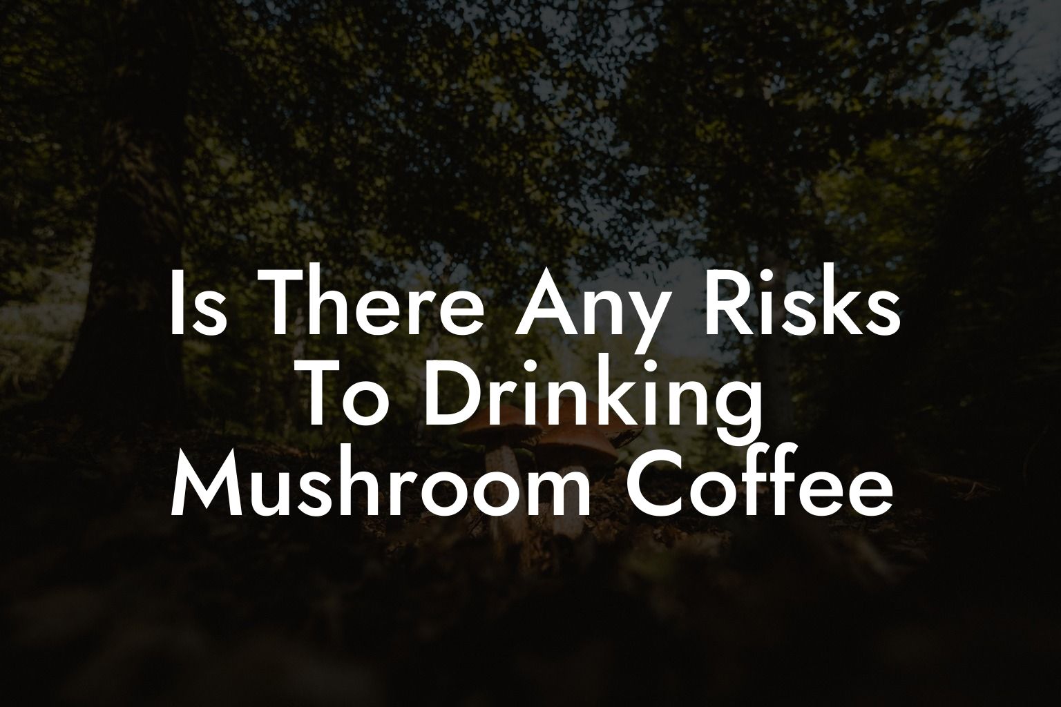 Is There Any Risks To Drinking Mushroom Coffee