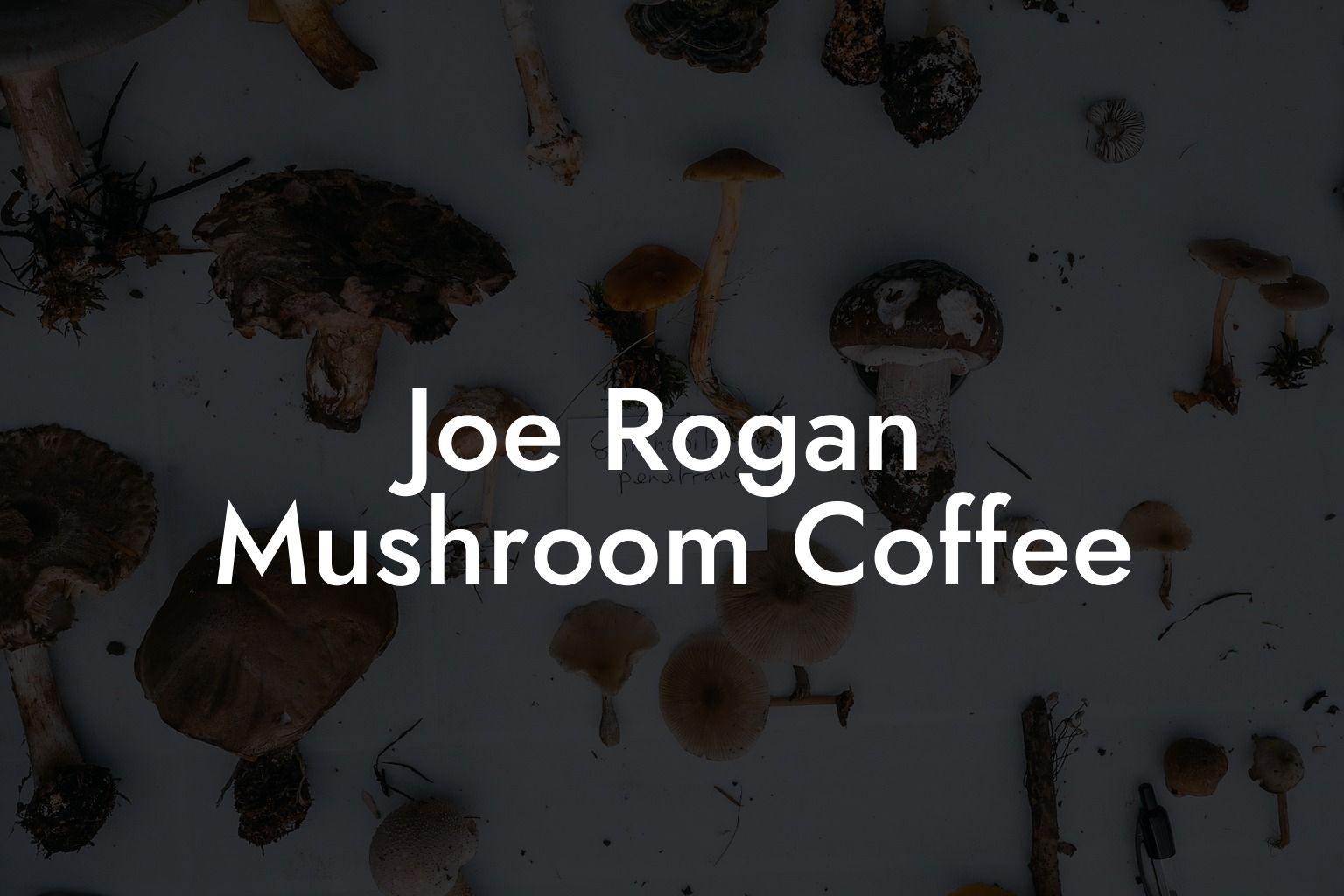 Joe Rogan Mushroom Coffee