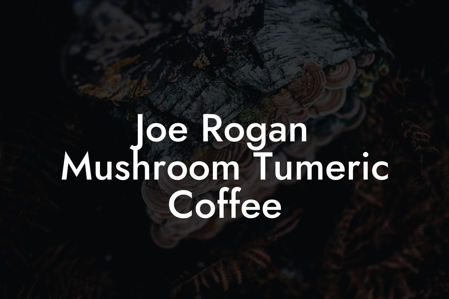 Joe Rogan Mushroom Tumeric Coffee