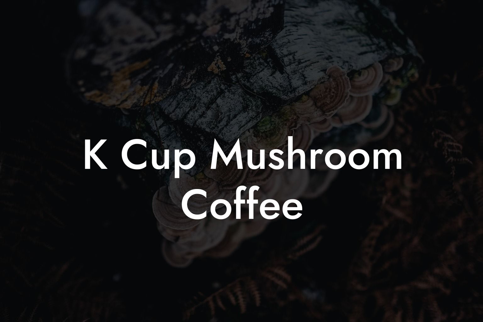 K Cup Mushroom Coffee