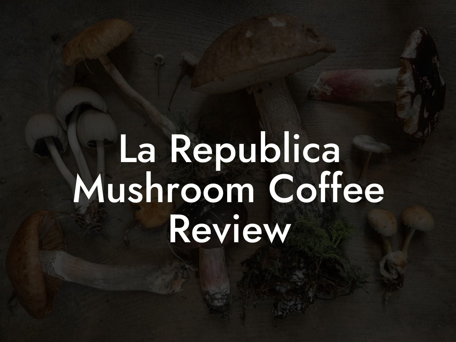 La Republica Mushroom Coffee Review