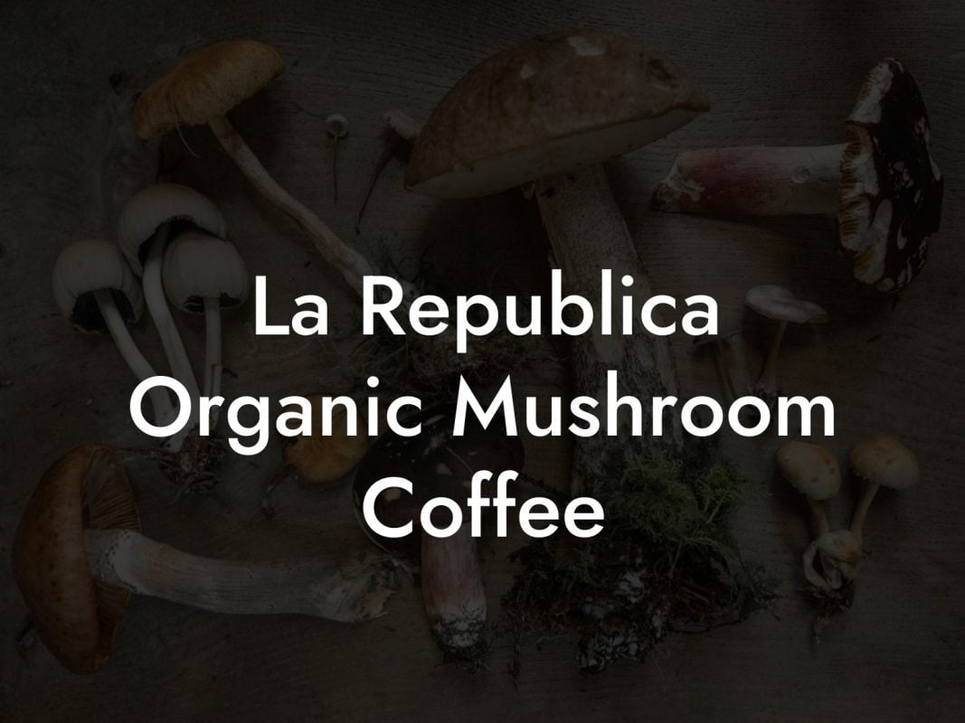 La Republica Organic Mushroom Coffee