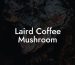 Laird Coffee Mushroom