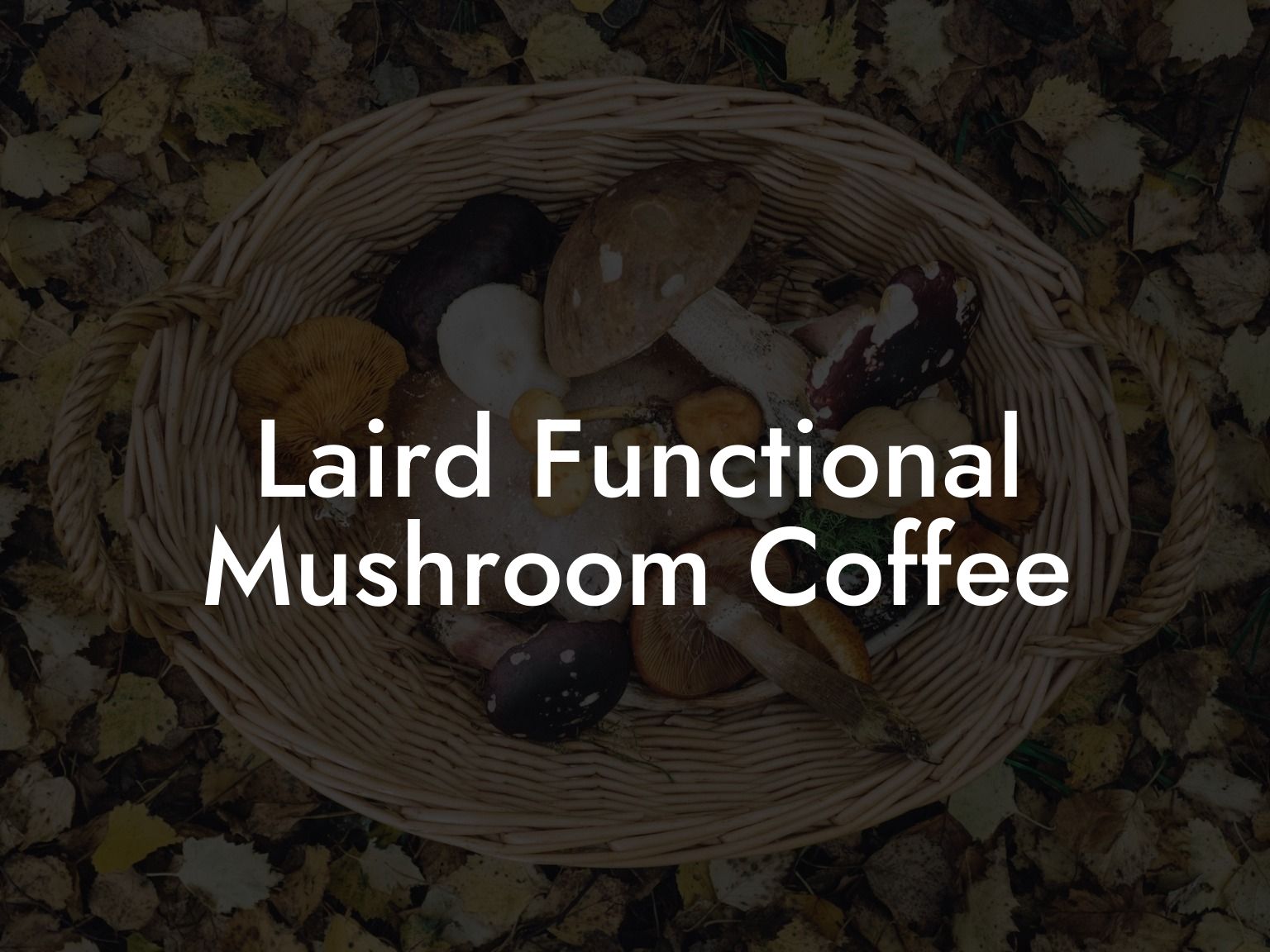 Laird Functional Mushroom Coffee