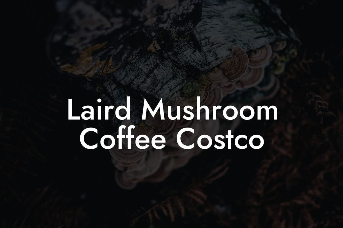 Laird Mushroom Coffee Costco