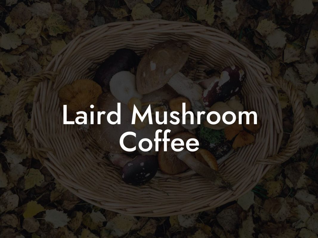 Laird Mushroom Coffee