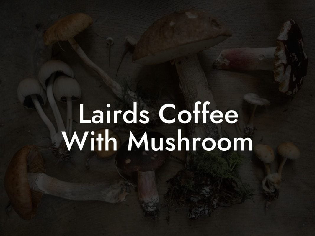 Lairds Coffee With Mushroom