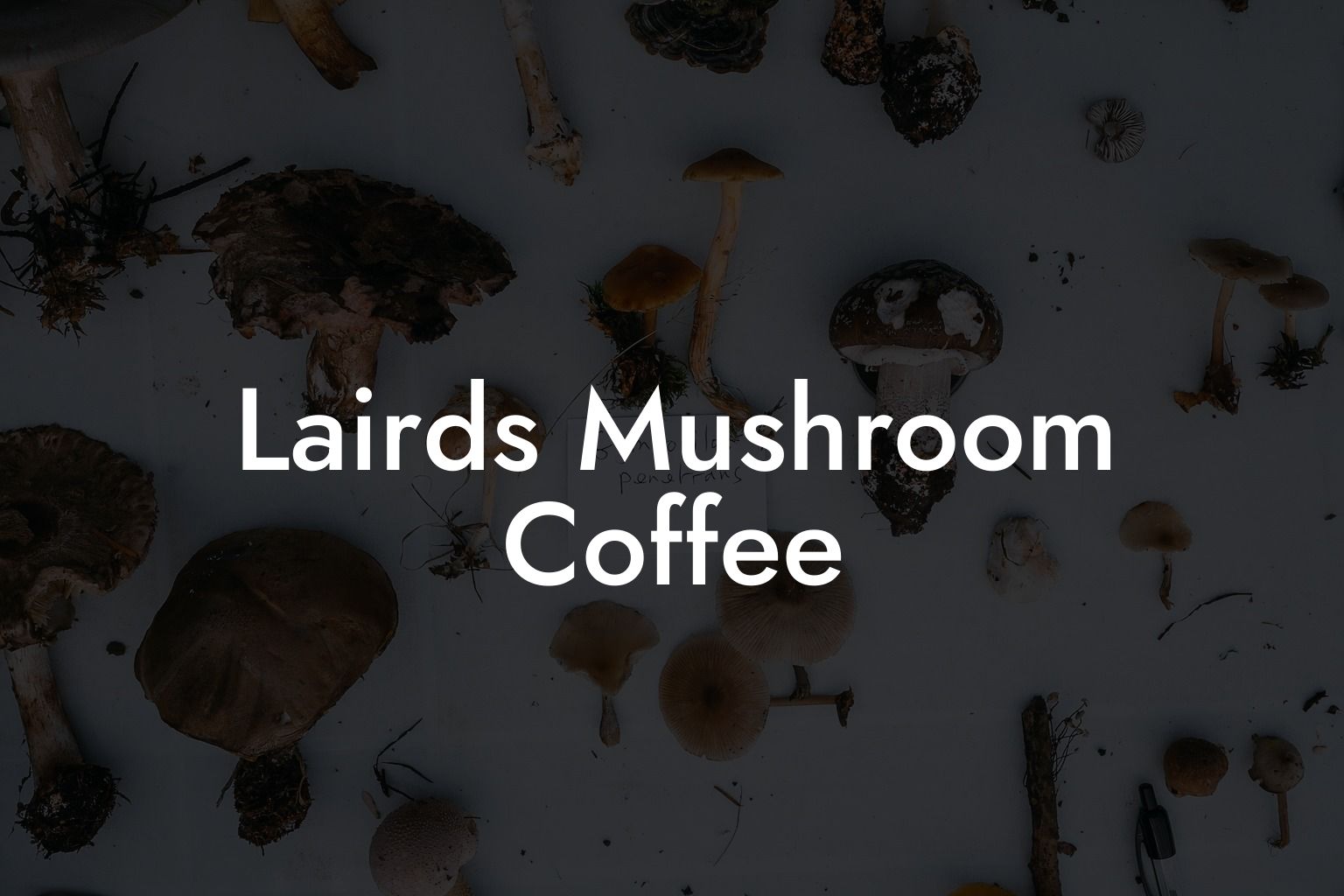 Lairds Mushroom Coffee