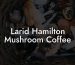 Larid Hamilton Mushroom Coffee