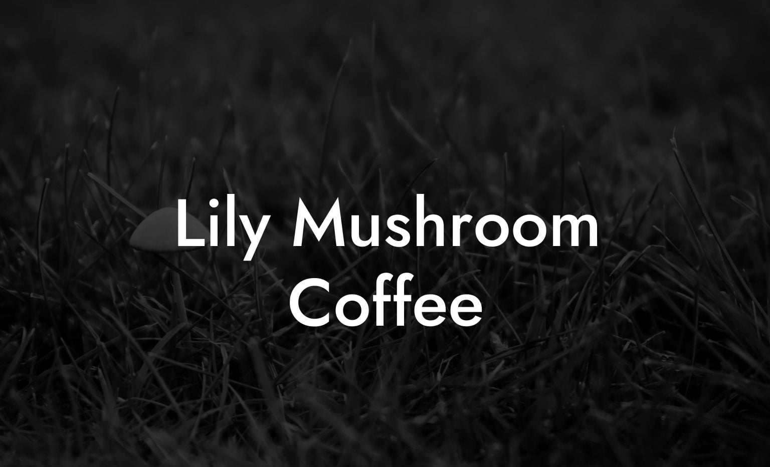 Lily Mushroom Coffee