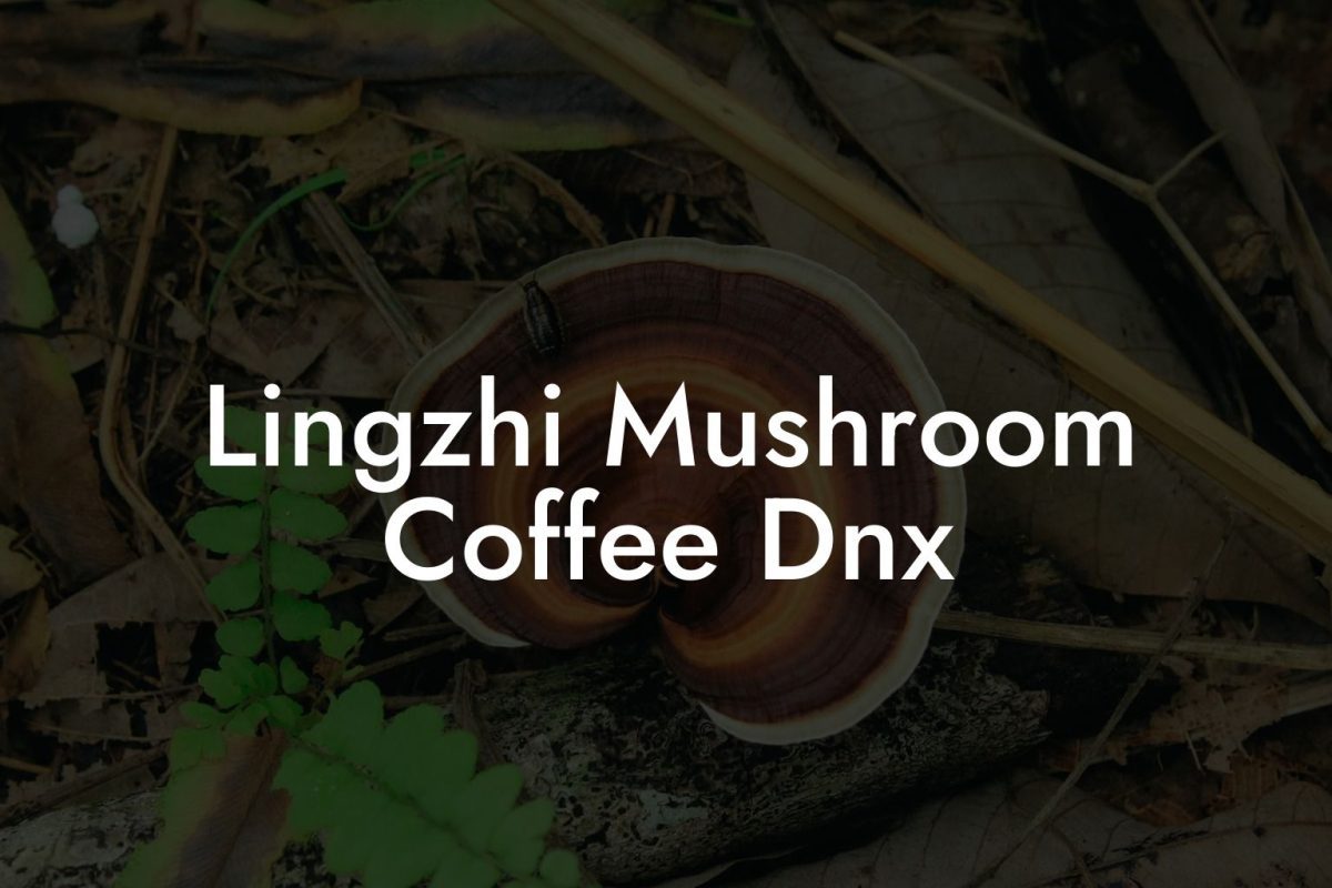 Lingzhi Mushroom Coffee Dnx