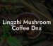 Lingzhi Mushroom Coffee Dnx