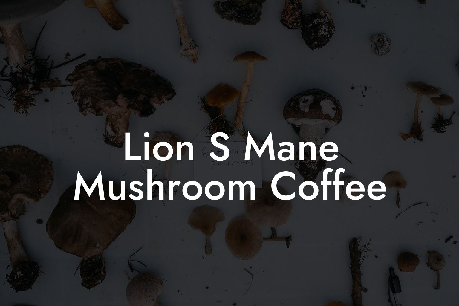 Lion S Mane Mushroom Coffee