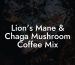 Lion's Mane & Chaga Mushroom Coffee Mix