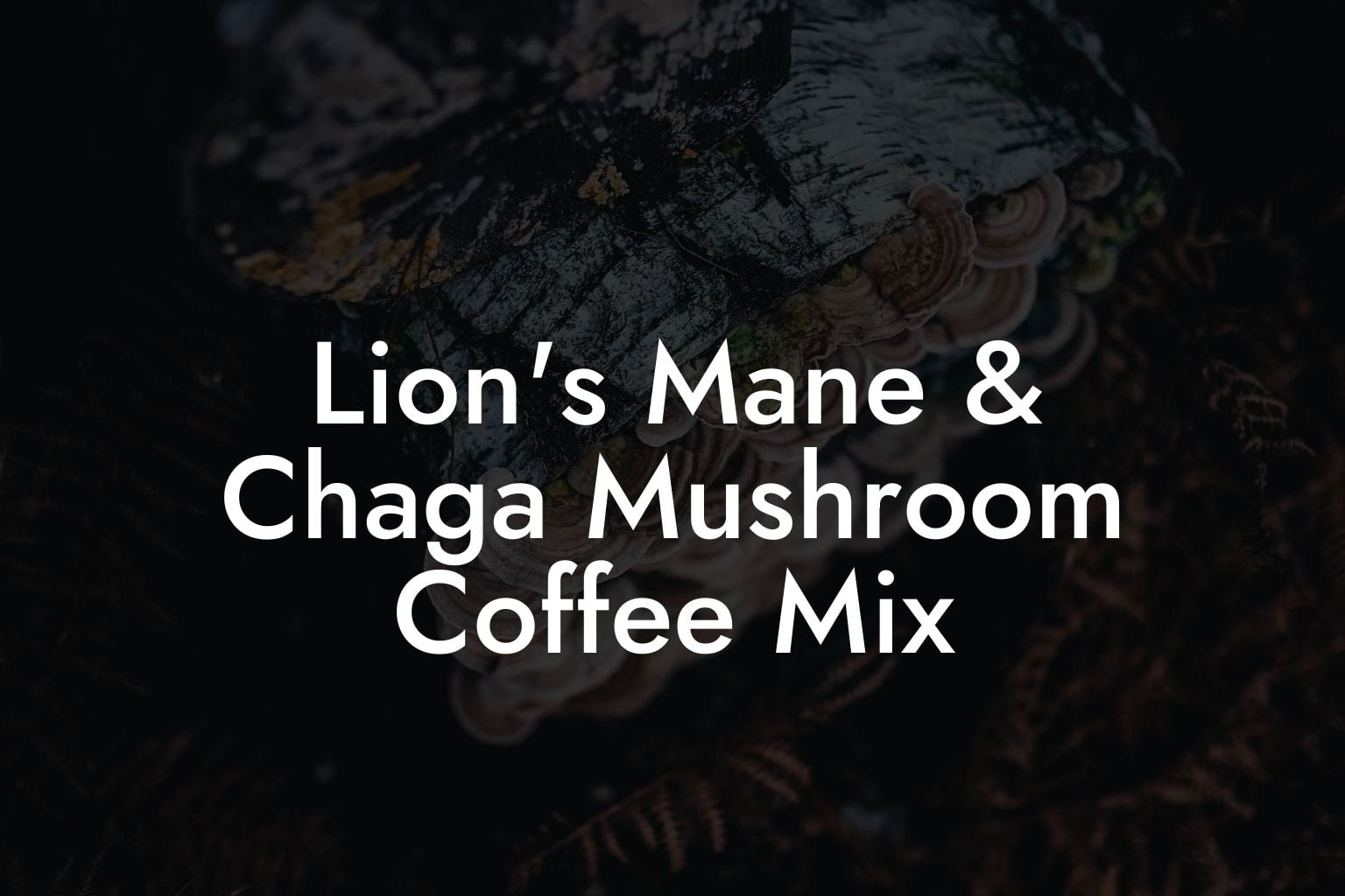 Lion's Mane & Chaga Mushroom Coffee Mix