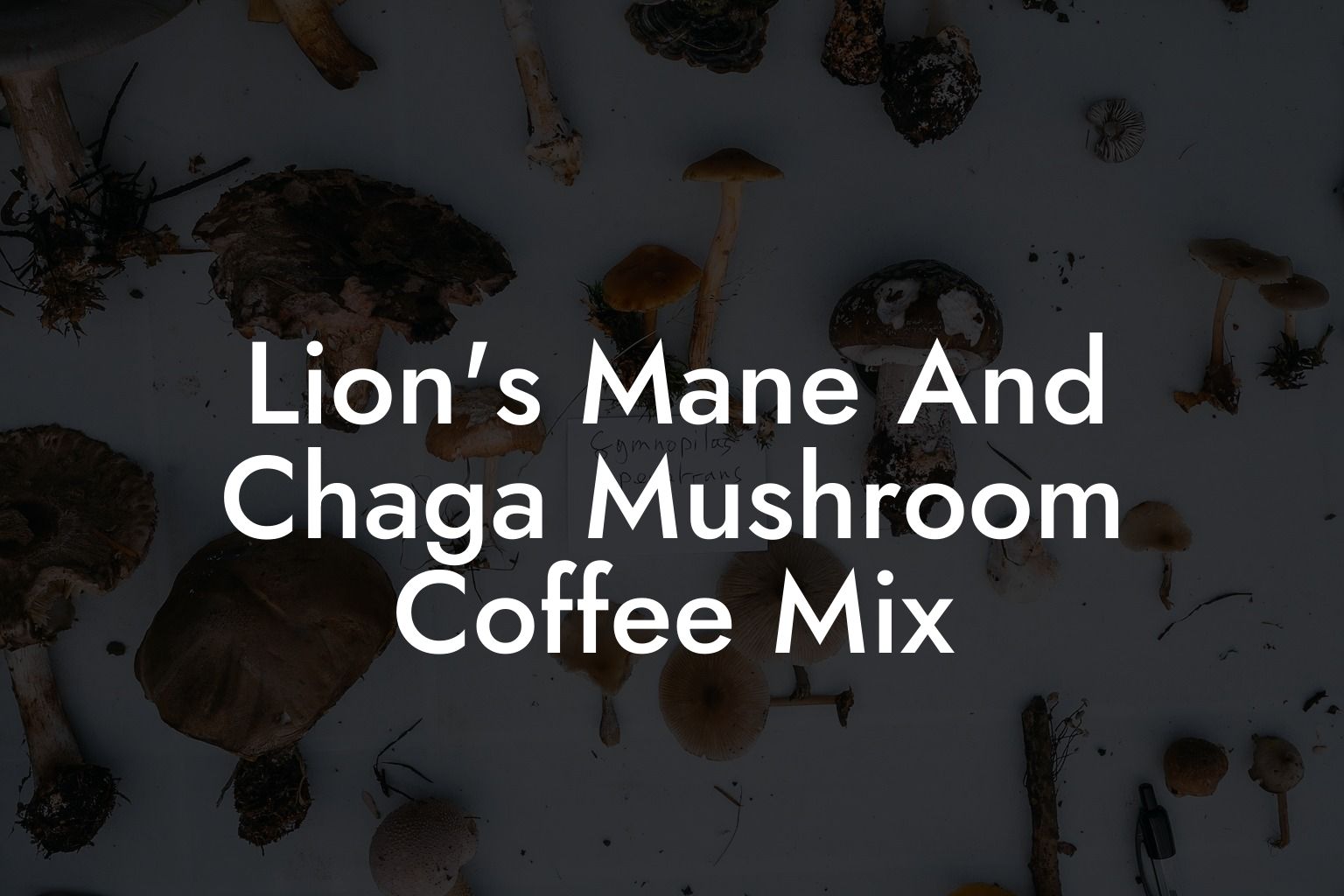 Lion's Mane And Chaga Mushroom Coffee Mix