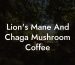 Lion's Mane And Chaga Mushroom Coffee