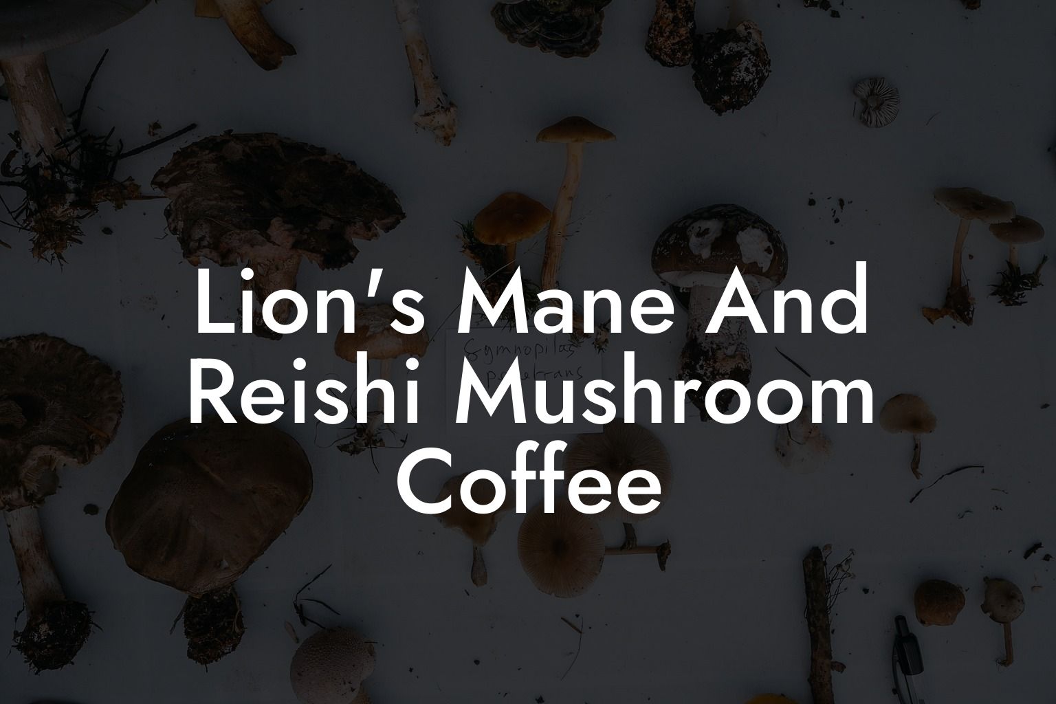 Lion's Mane And Reishi Mushroom Coffee