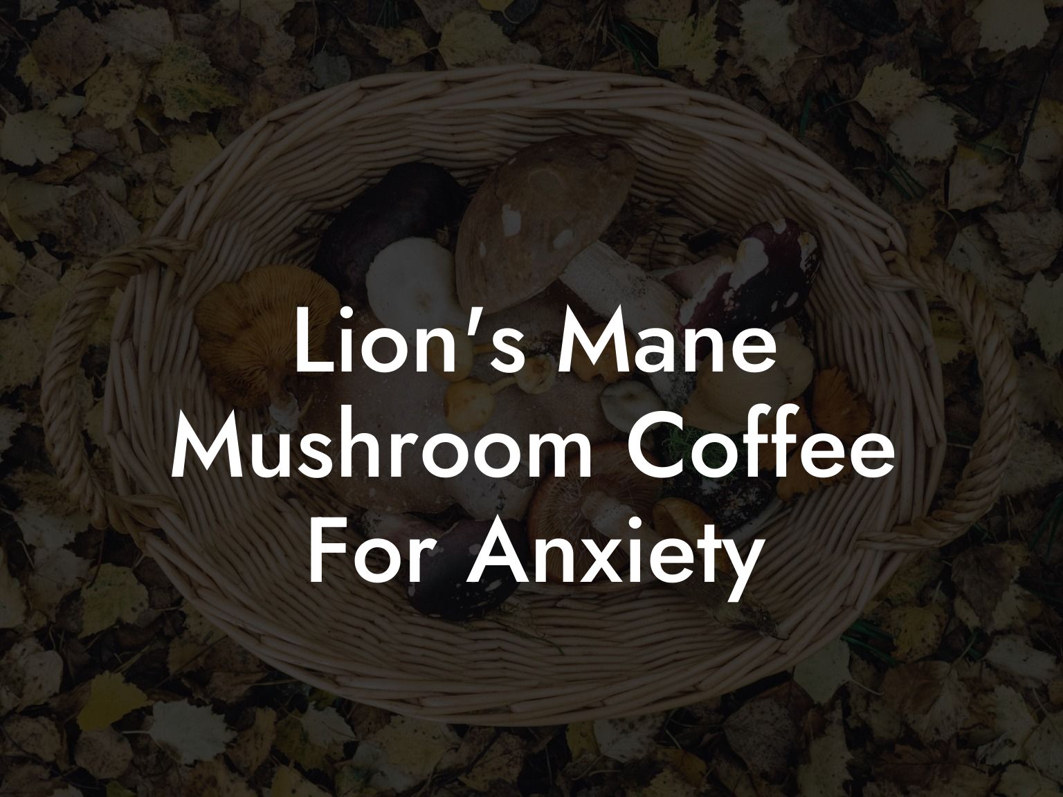Lion's Mane Mushroom Coffee For Anxiety