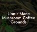Lion's Mane Mushroom Coffee Grounds