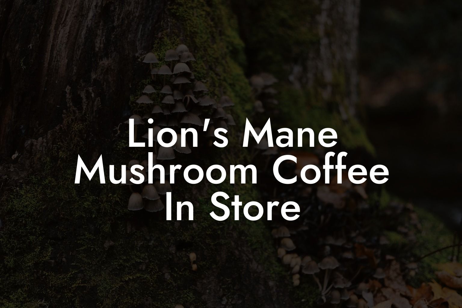 Lion's Mane Mushroom Coffee In Store