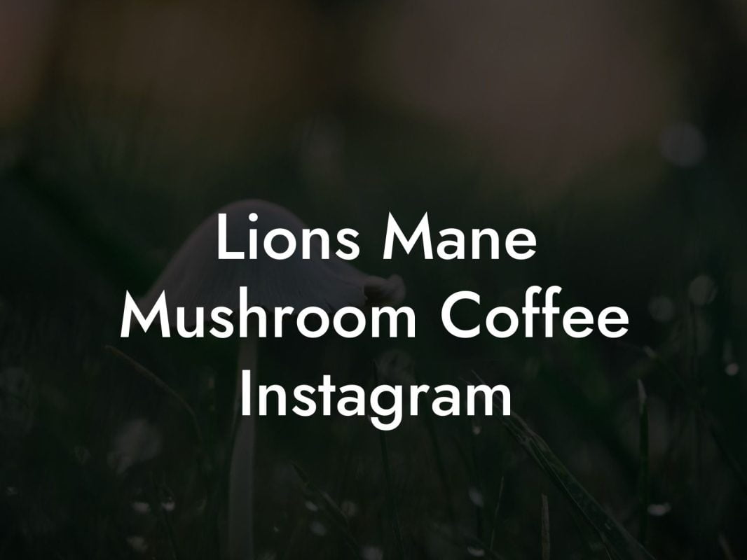 Lions Mane Mushroom Coffee Instagram