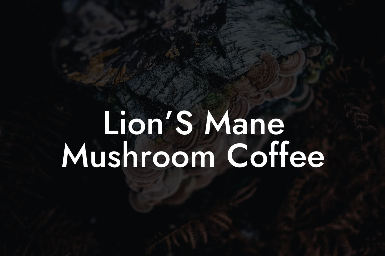 Lion's Mane Mushroom Coffee