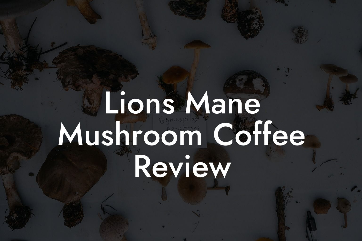 Lions Mane Mushroom Coffee Review