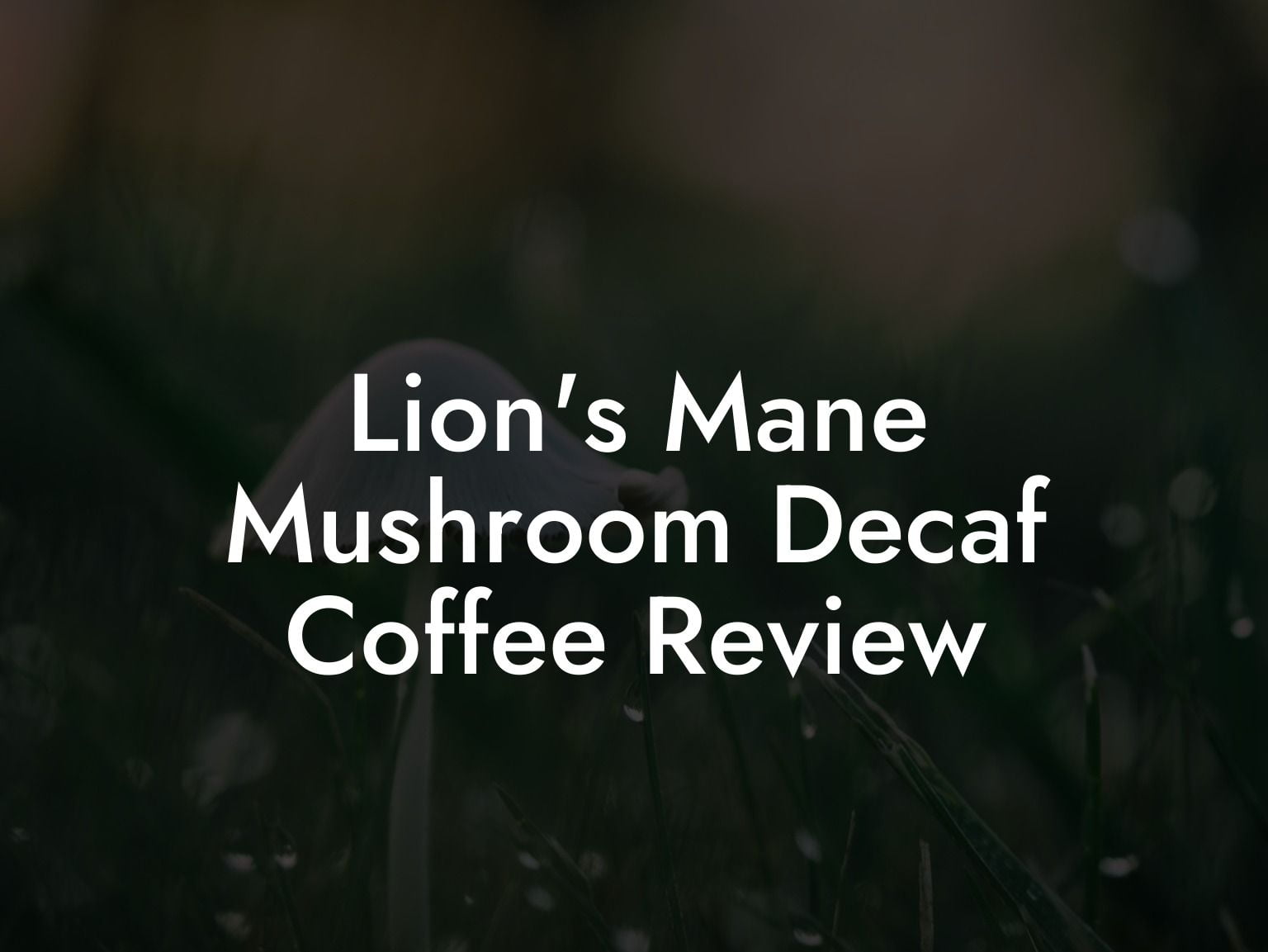 Lion's Mane Mushroom Decaf Coffee Review