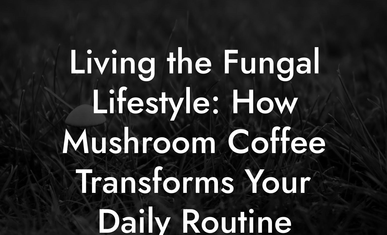 Living the Fungal Lifestyle: How Mushroom Coffee Transforms Your Daily Routine